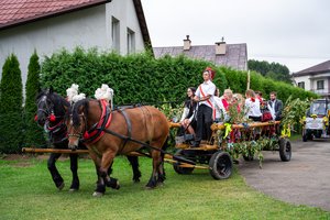DOŻYNKI GMINNE 2025 - 544736145_1201468085355623_9026490166311751167_n.jpg