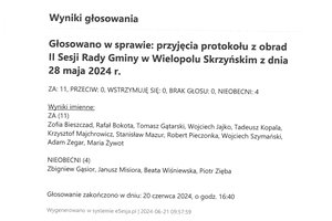 Imienny wykaz głosowań radnych - skmbt_c454e24062110430_0011.jpg