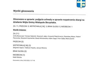 Imienny wykaz głosowań radnych - skmbt_c454e25100113380_0005.jpg