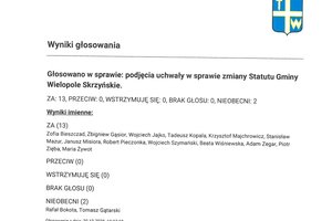 Imienny wykaz głosowań radnych - skmbt_c454e25110608331_0004.jpg