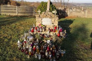 Uroczystość podsumowująca rewitalizację Cmentarza Wojskowego  w Wielopolu Skrzyńskim - p1011602.jpg