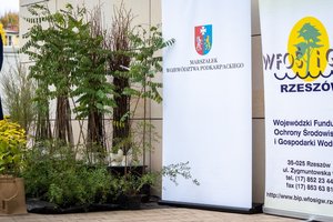 Sadzenie drzew miododajnych w Gminie Wielopole Skrzyńskie w 2021 r. - drzewa.jpg
