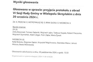 Imienny wykaz głosowań radnych - s45c-6e23110514210_0011.jpg