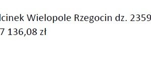 W trakcie realizacji Wielopole Skrzyńskie - n0_wielopole_rzegocin_k.ochab.jpg