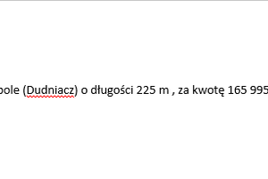 W trakcie realizacji Wielopole Skrzyńskie - b0-wielopole_dudniacz.png