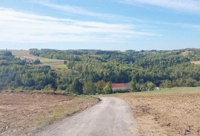 Modernizacja drogi dojazdowej  do gruntów rolnych  w m. Wielopole Skrzyńskie