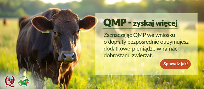 Ekoschemat „Dobrostan zwierząt” Dodatkowe pieniądze dla hodowców bydła z QMP – tylko do 16 czerwca!
