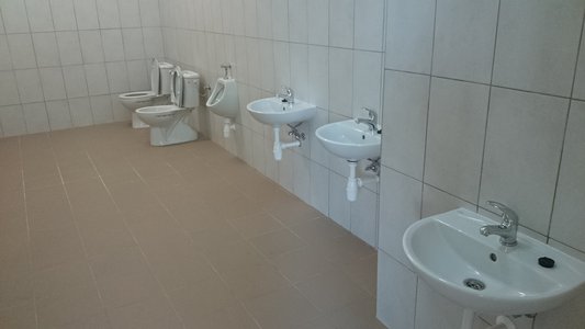 Wykonanie sanitariatów, odnowa sal lekcyjnych i szatni w Szkole Podstawowej w Wielopolu Skrzyńskim