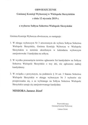 Obwieszczenie Gminnej Komisji Wyborczej w Wielopolu Skrzyńskim z dnia 12 stycznia 2019 r.  o wyborze Sołtysa Sołectwa Wielopole Skrzyńskie