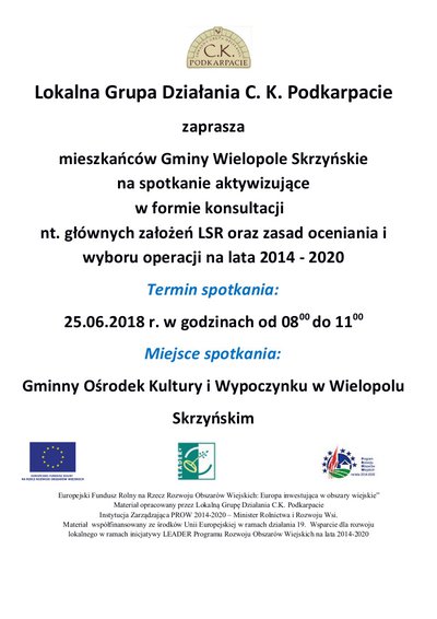 Spotkanie aktywizujące w Wielopolu Skrzyńskim